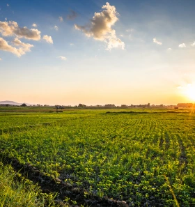 Agriculture & Water